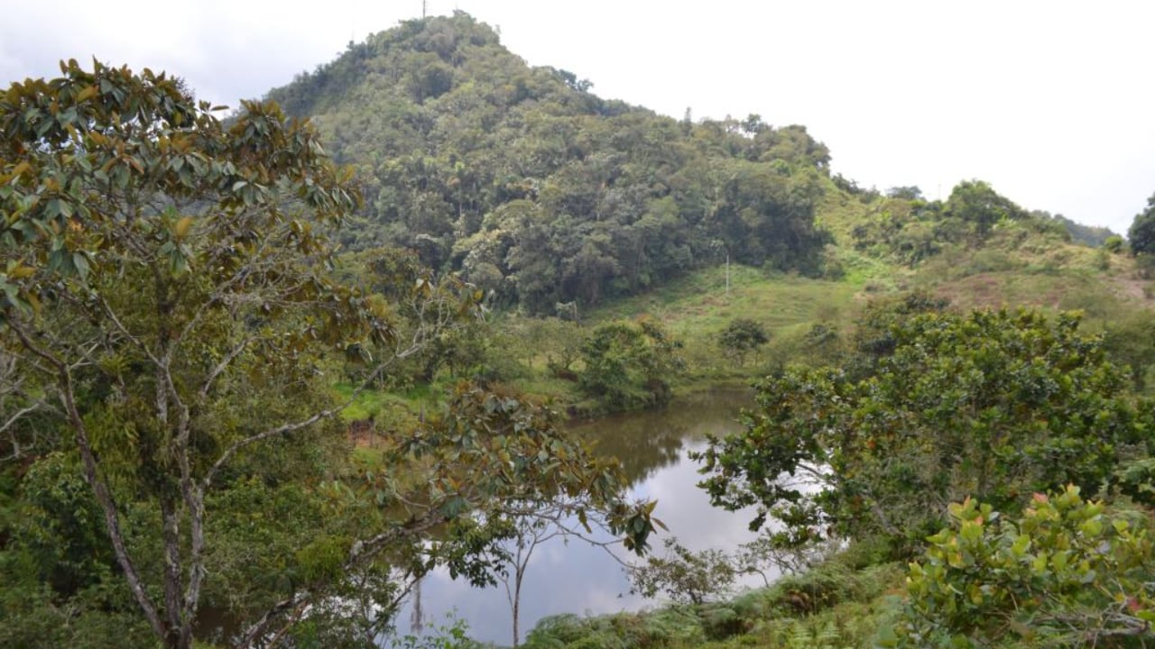 Las lagunas son uno de los atractivos en Tununguá.