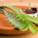 La sábila tiene "poderes mágicos".