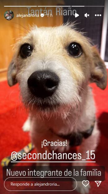 Él es el nuevo integrante de la familia Riaño. Foto: Instagram @alejandroria.