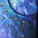 Los óvulos se cotizan en unos US$6.500, mientras que 0,5 mililitros de espermatozoides van de US$50 a US$500.