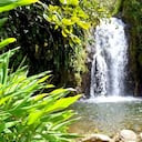 Campamento, Antioquia