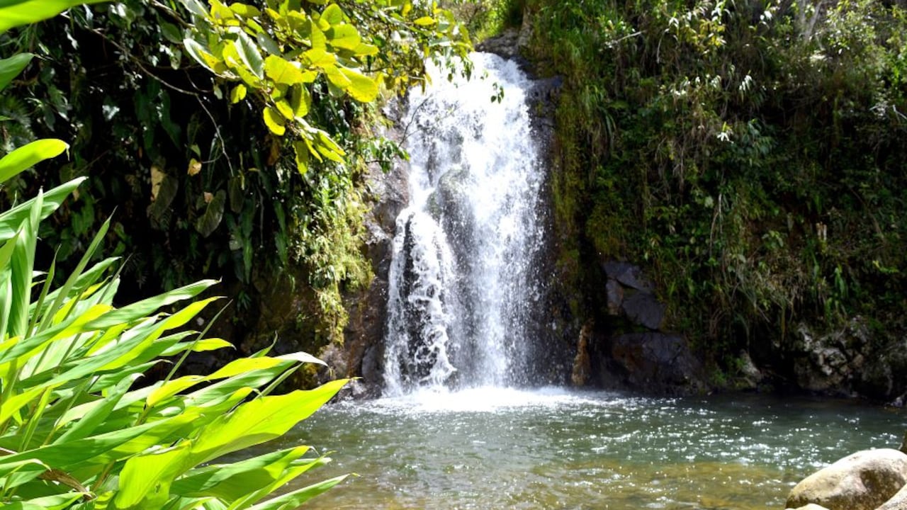 Los Tres Charcos, un conjunto de majestuosas cascadas y un charco en Campamento, Antioquia