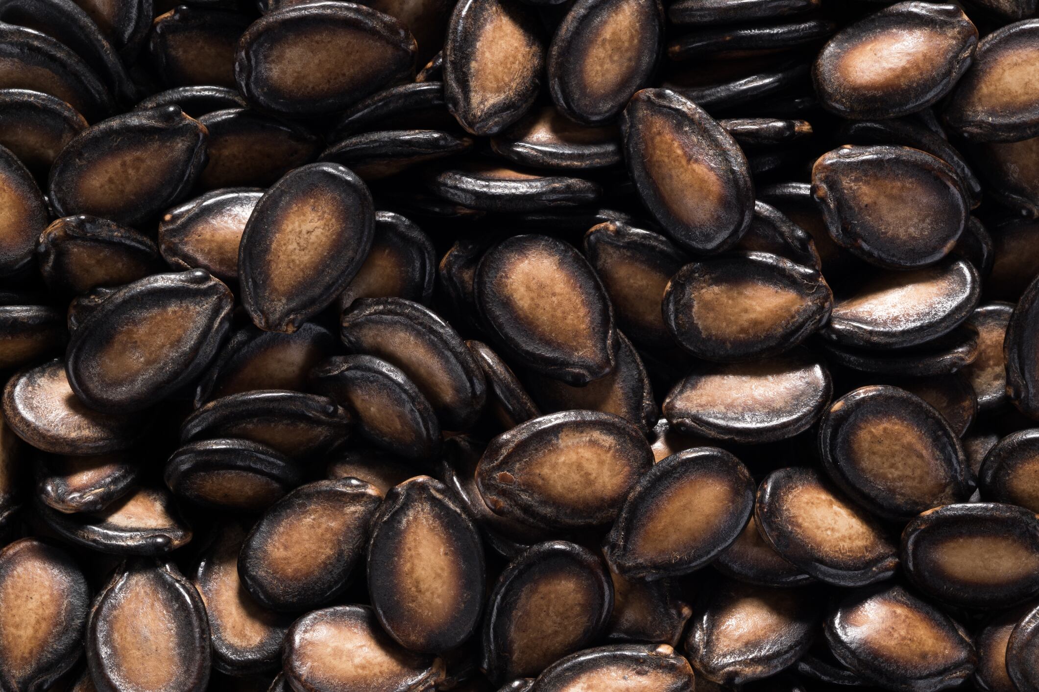 Full Frame Shot of Watermelon Seeds Directly Above View, Close-up Shot. Asian Food. Chinese Snack.