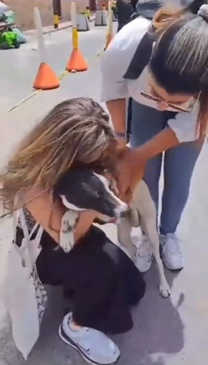 La perrita tiene cerca de cinco meses