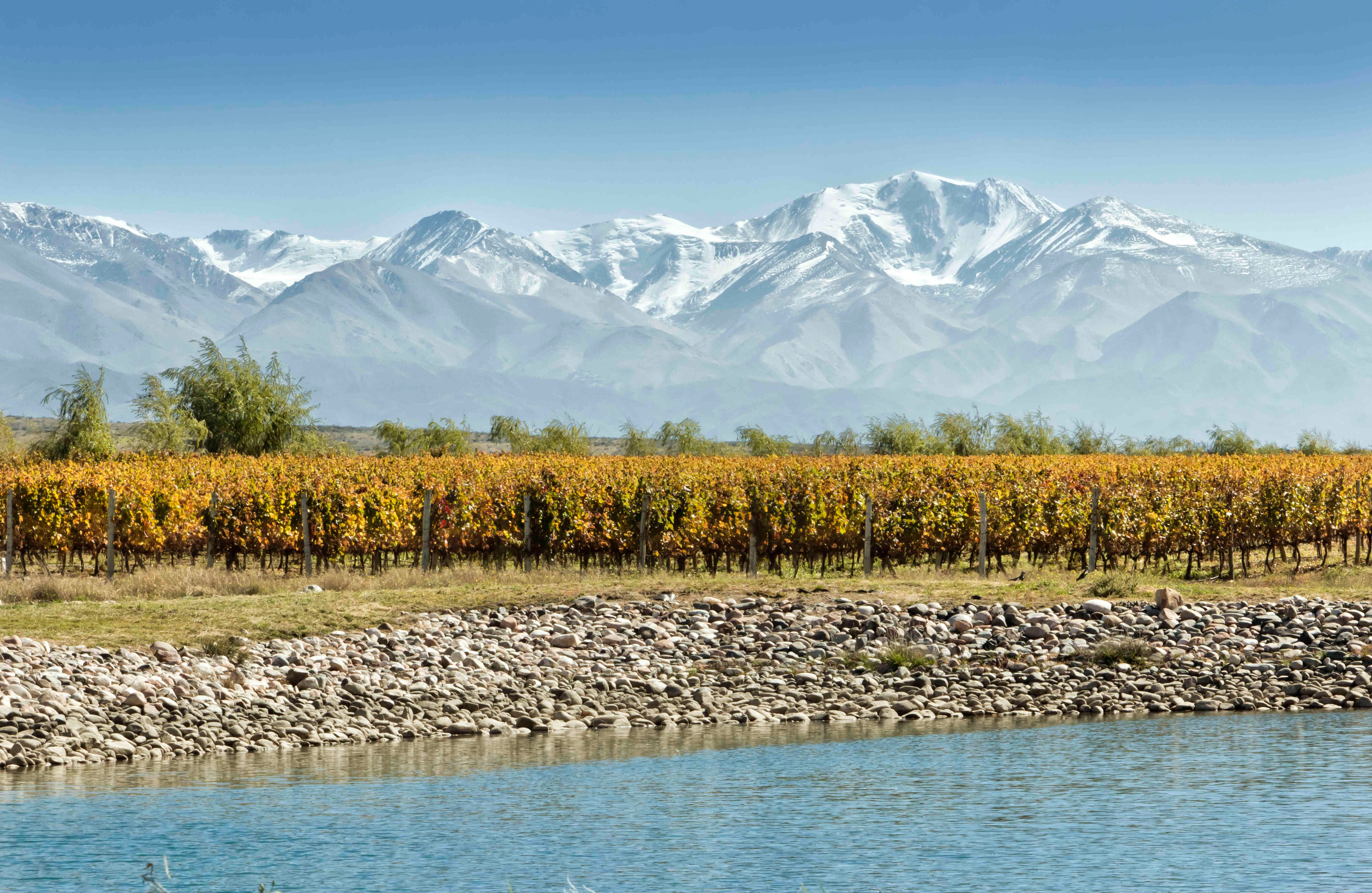 Mendoza, Argentina: Si la cultura del vino te apasiona, no puedes dejar de visitar esta provincia, al sur del continente, en especial si tu gusto se inclina por las cepas oscuras como el malbec. El enotursimo es tan fuerte, que la ciudad principal homónima de la región ha sido reconocida como Capital Internacional del Vino, según la Organización Internacional de la Viña, desde 1987. Los planes para disfrutar de esta bebida son variados, e incluyen recorridos por viñedos, charlas con sommeliers, visitas a bodegas y degustaciones. El destino ideal para despertar el olfato y seducir el gusto.