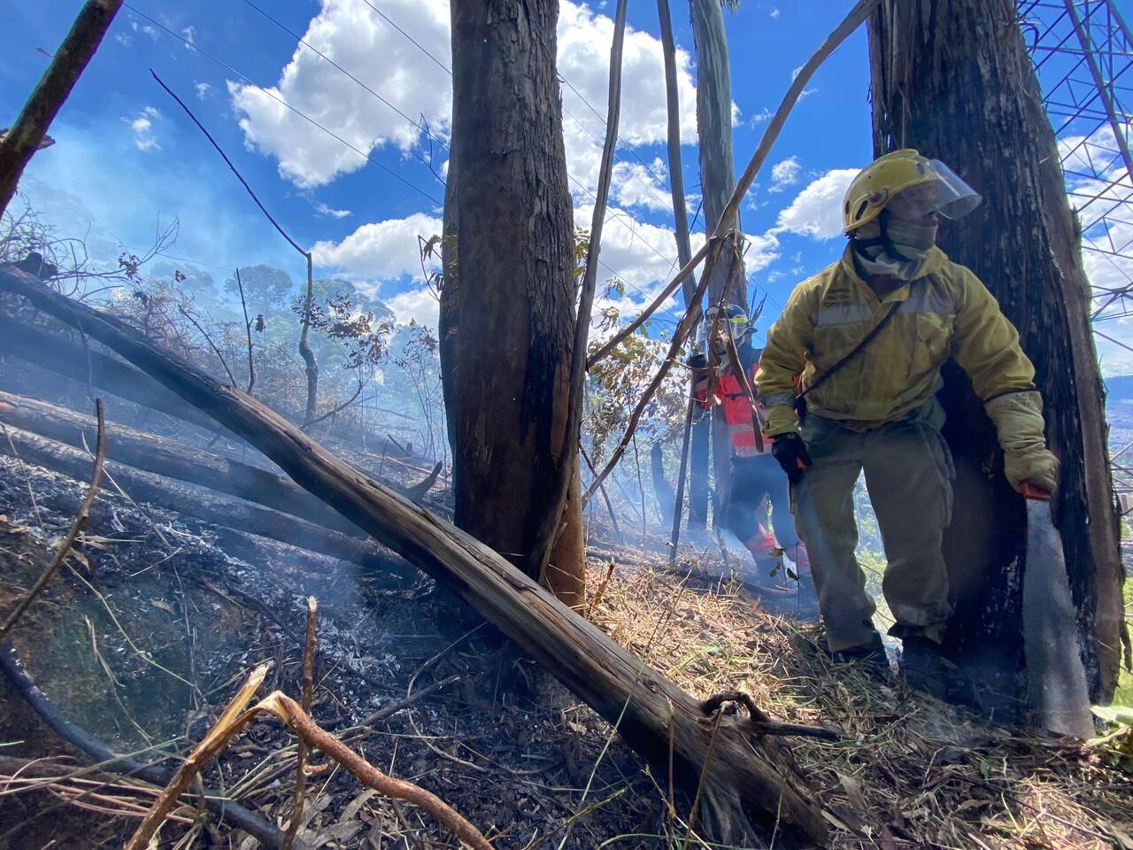 Los fuertes vientos que se tienen en la zona dificultan las labores