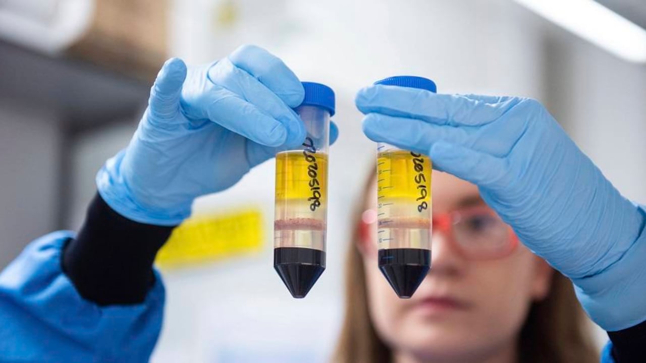 Referencia de una vacuna contra coronavirus