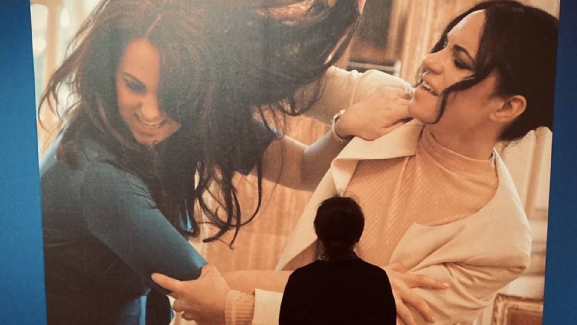 Imágenes en Twitter @alisonjackson