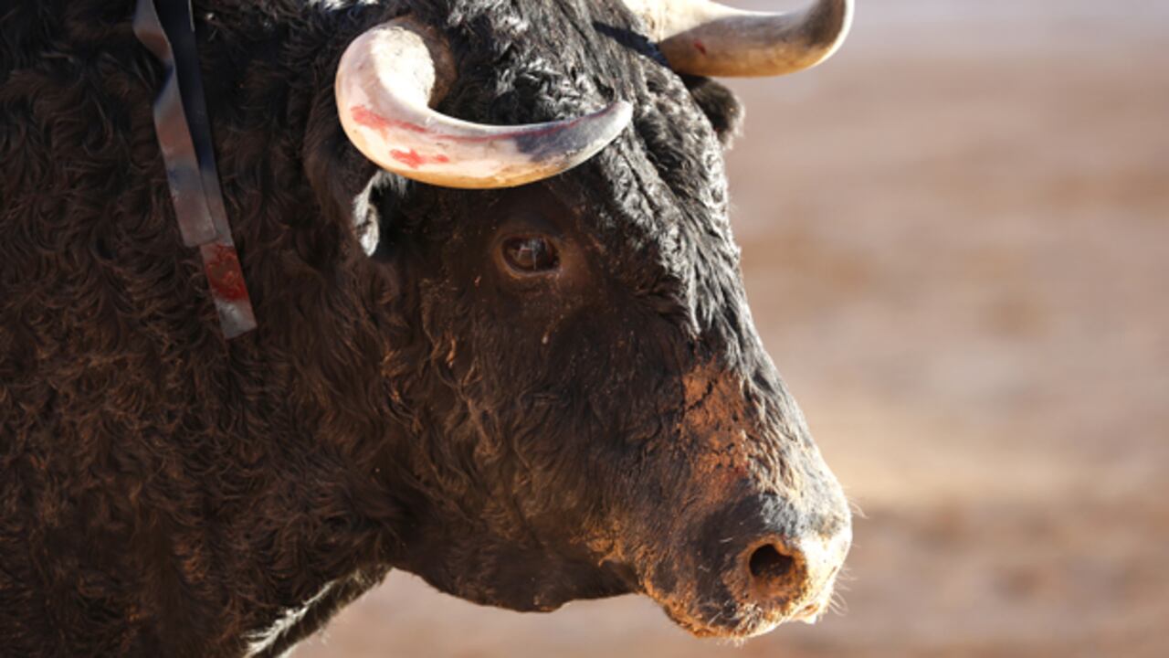 Con estos festejos se cierra por este año la temporada taurina colombiana.