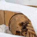 Las manos de la momia están en un perfecto estado de conservación