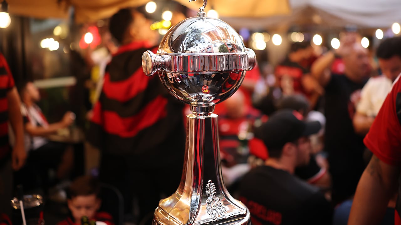 Copa Libertadores 2025: final entre Palmeiras y Flamengo