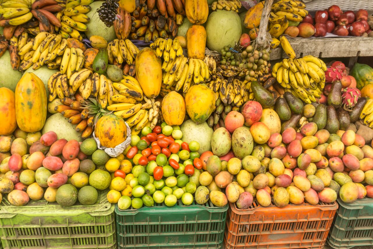 Alimentos
