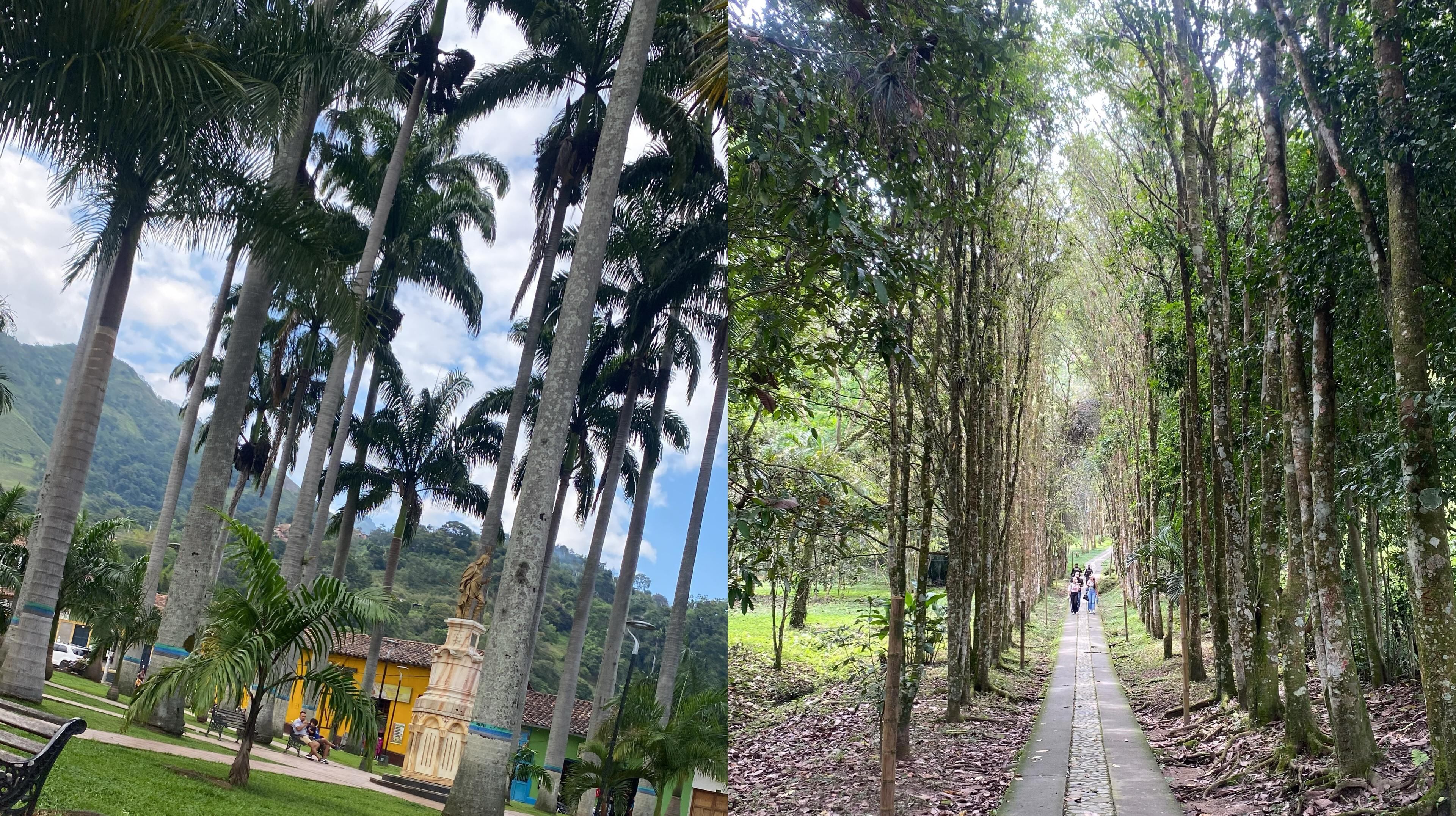 Salazar de las Palmas, Norte de Santander.