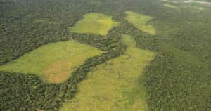 La deforestación es la actividad que más aporta a la emisión de gases de efecto invernadero en Colombia cada año. Foto: Cormacarena.
