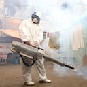 Perú emprendió campaña de fumigación frente al Dengue