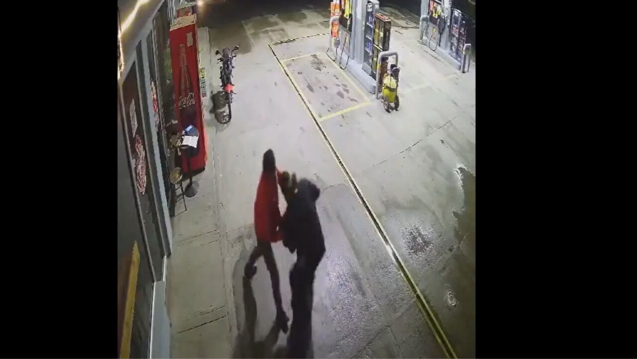 Perro se convirtió en héroe en Boyacá, ayudó a trabajador ante los ataques de un ladrón