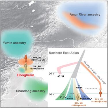 El sitio clave donde la genética de la estepa y la costa se unió hace 9,000 años.