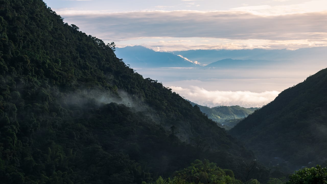 El Parque Nacional Natural Farallones de Cali alberga cuatro ecosistemas diferentes en su territorio y, además, a una multiplicidad de especies de flora y fauna.