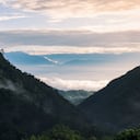 El Parque Nacional Natural Farallones de Cali alberga cuatro ecosistemas diferentes en su territorio y, además, a una multiplicidad de especies de flora y fauna.