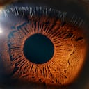 Las afecciones oculares son una variable de alta extensión en el mundo, explica la OMS.