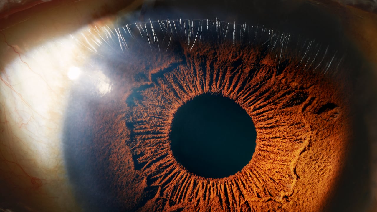 Las afecciones oculares son una variable de alta extensión en el mundo, explica la OMS.