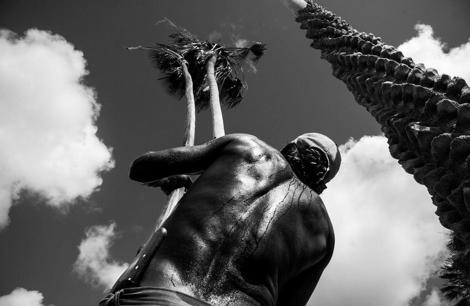 Bravos / Jean Souza Lopes (Brasil)