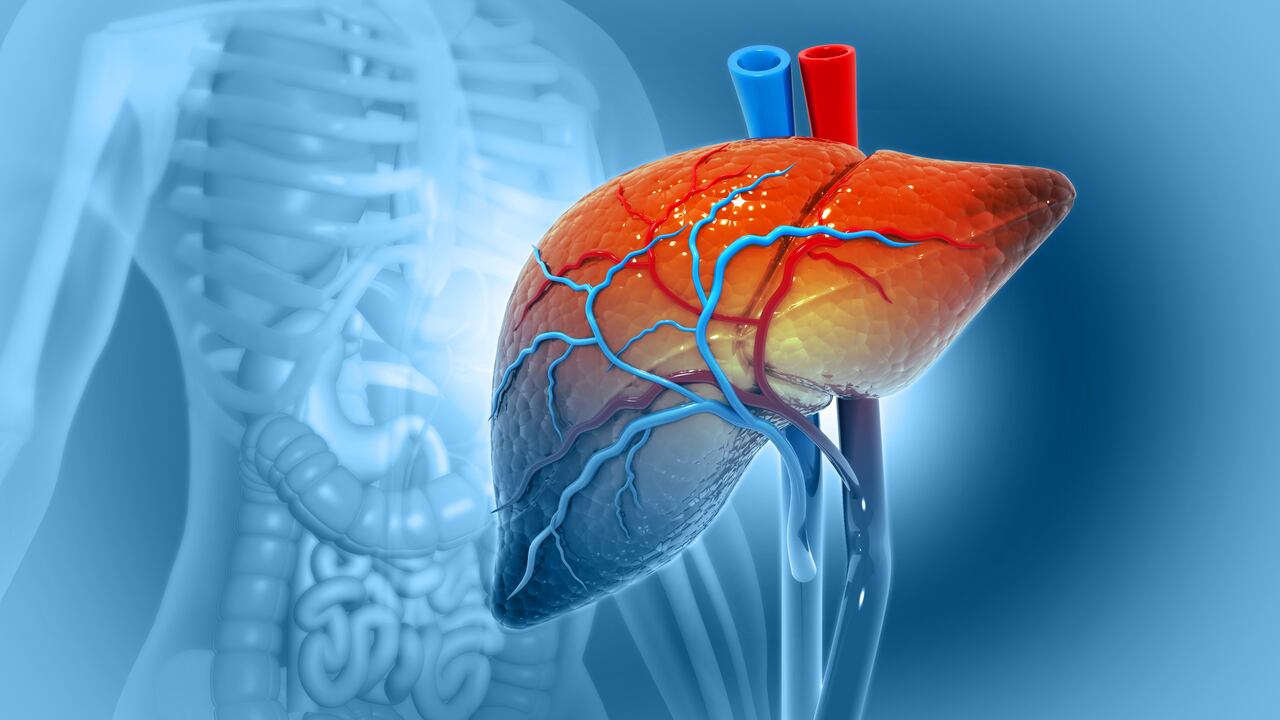 ¿Cómo evitar el hígado graso?