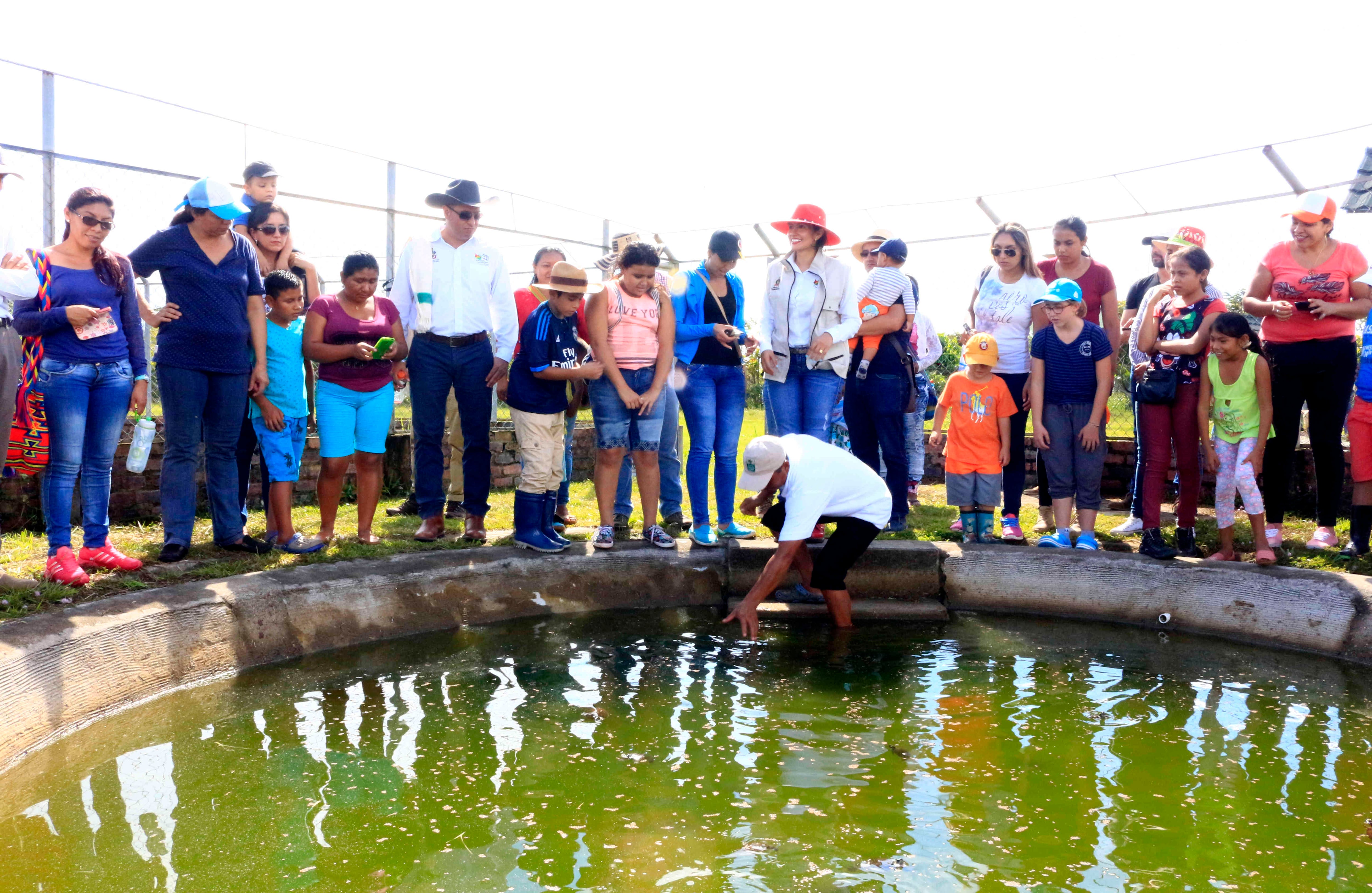 El Parque Ecotemático Wisirare cuenta con recorridos ecoturísticos en donde se puede observar la flora y fauna que prima en la región