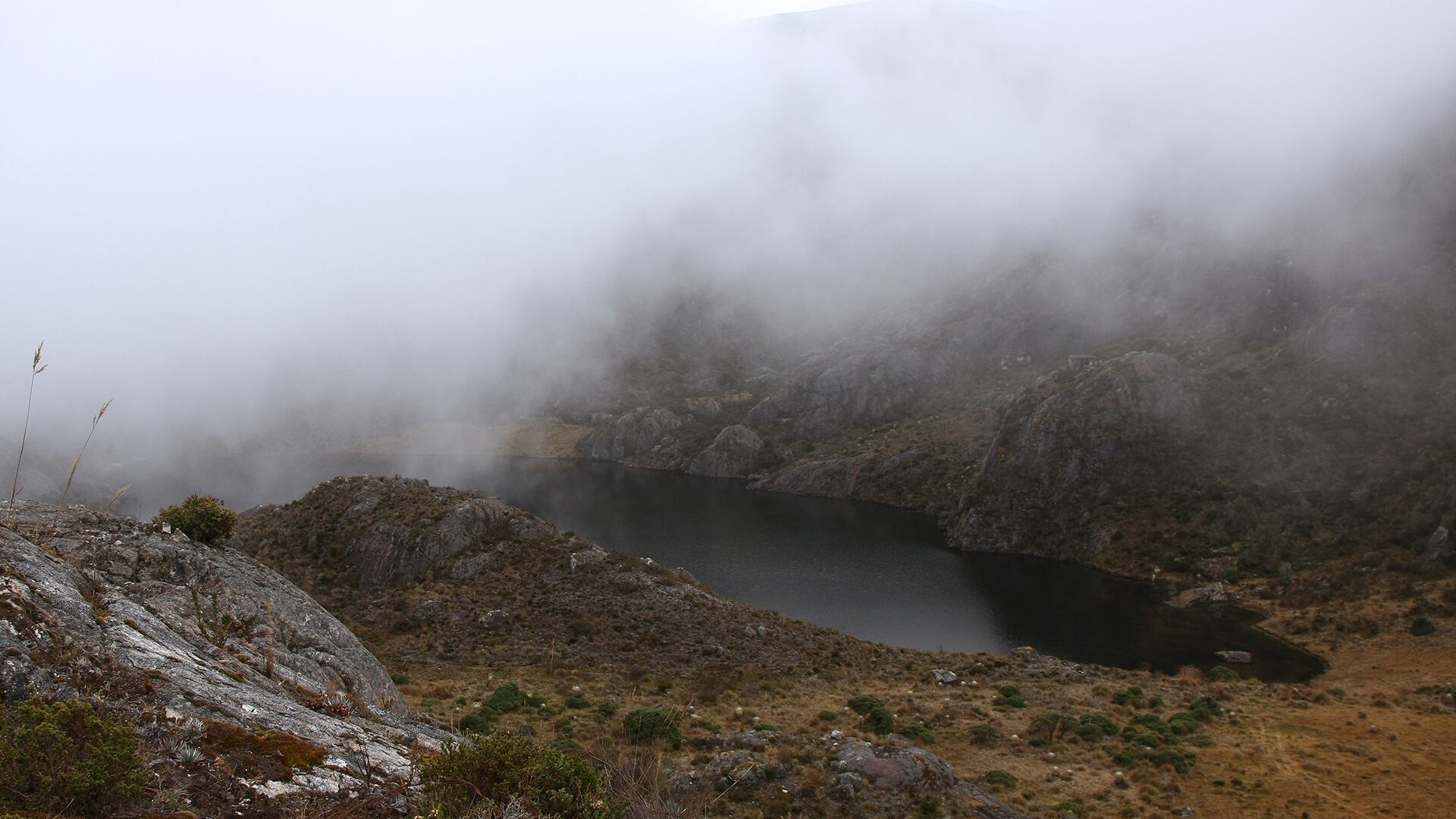 NO USAR, Especial Sostenibilidad, Bavaria