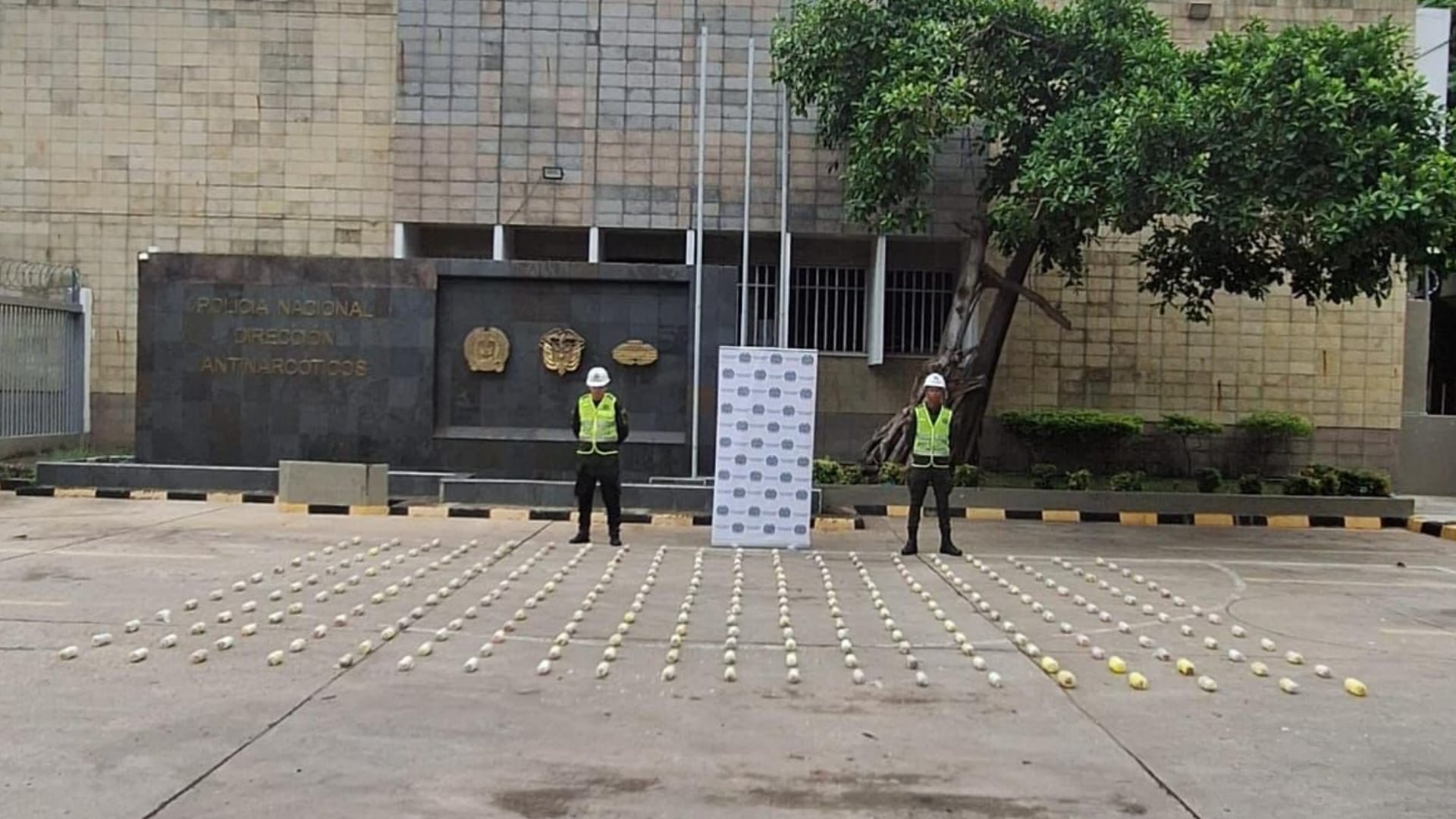 Camuflan cocaína en piñas falsas.