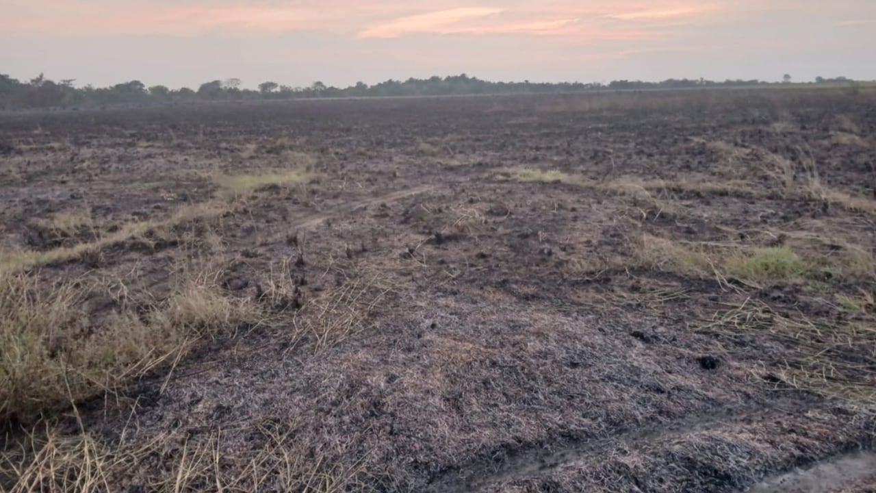 Incendio en el Bioparque Wisirare