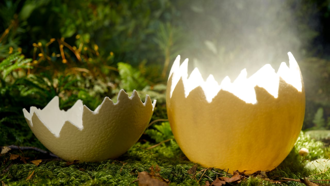 Estos usos son singulares. Foto de referencia: Getty Images.