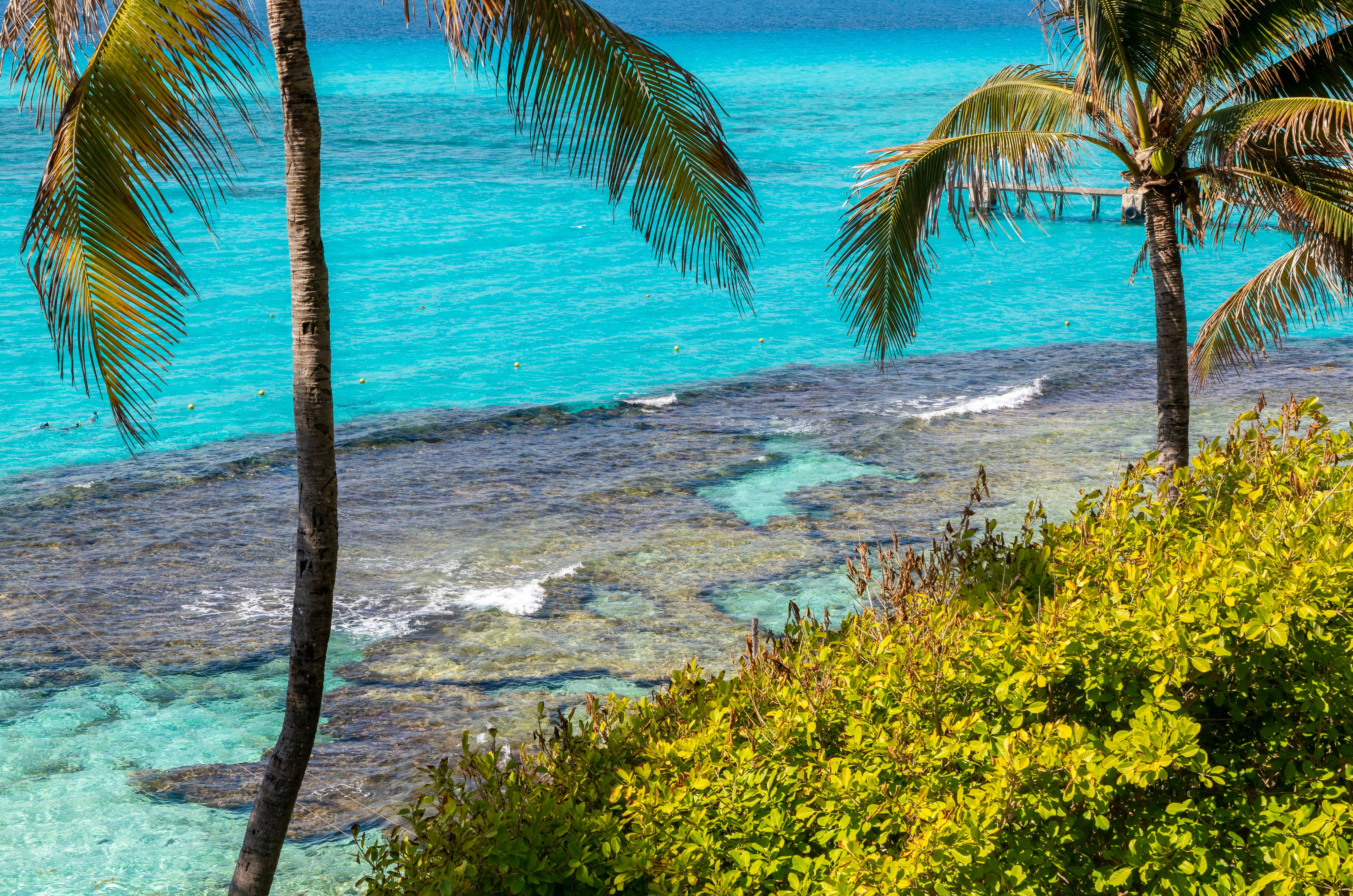 Riviera Maya, un excelente lugar para disfrutar del mar y la playa.