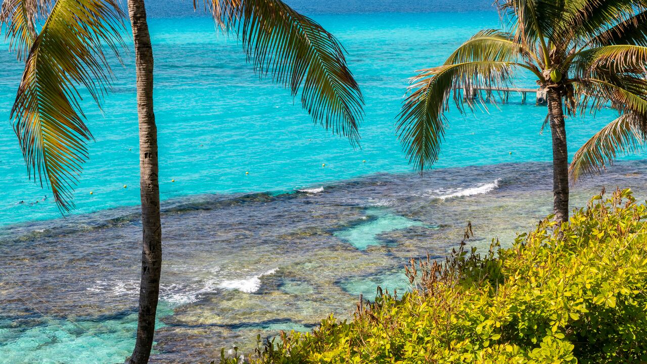 Riviera Maya, un excelente lugar para disfrutar del mar y la playa.