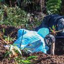 Los cinco cuerpos hallados en la fosa de Buenos Aires, Cauca, eran de menores de edad, según señaló Indepaz. Una de las niñas había sido reclutada en La Plata, Huila, y llevada con engaños hasta el Cauca, donde finalmente la asesinaron.