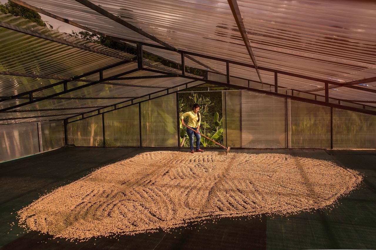 La línea de café ha visibilizado el talento de las mujeres y la región.