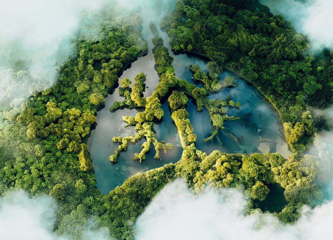 El compromiso por aportar a la sostenibilidad también la llevó a mejorar las plantas de producción para que no haya efluentes contaminantes vertidos al alcantarillado.