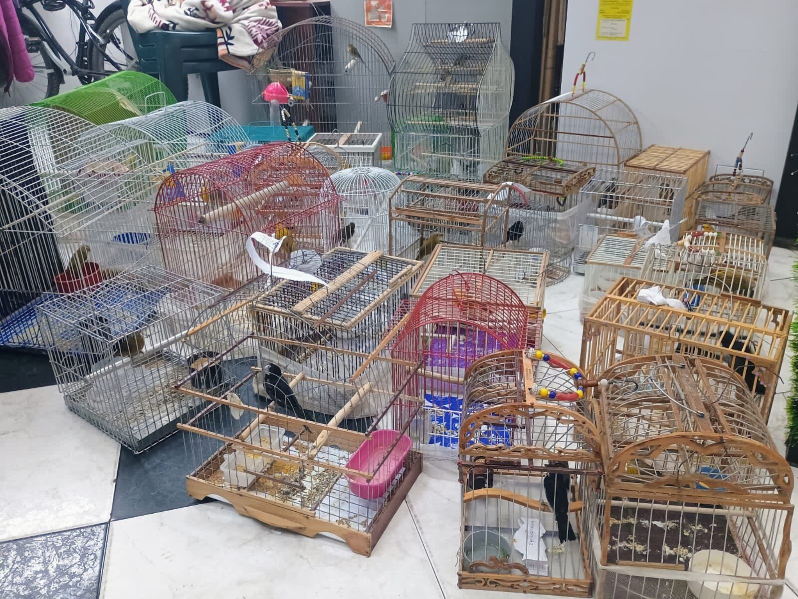 Más de 50 aves silvestres fueron recuperadas en la localidad de Tunjuelito