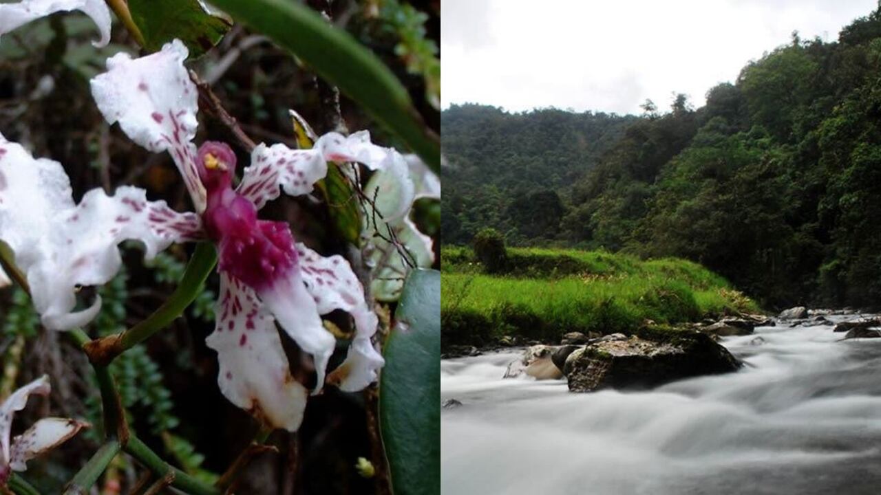 Este parque está ubicado en el municipio de Abriaquí en Antioquia.