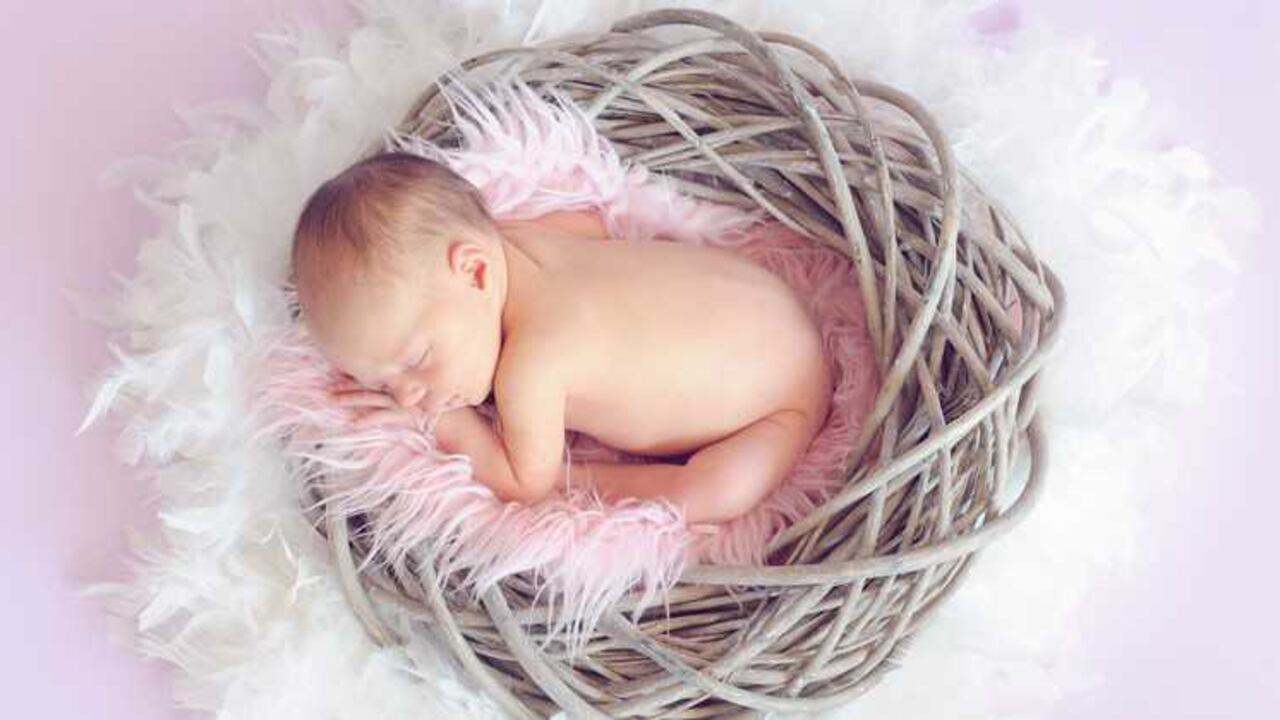 Un niño que nace al séptimo mes de embarazo, cuando pesa aproximadamente entre 1500 y 2000 gramos debe tener una atención multidisciplinaria.