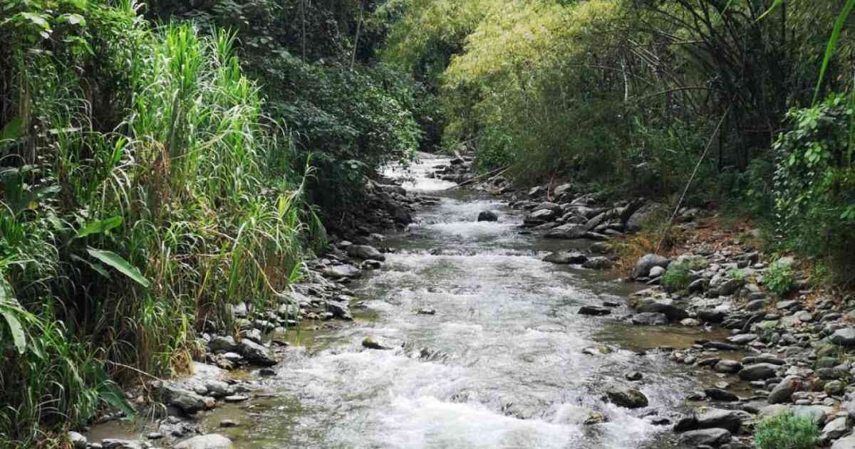 El río Quindío - Foto tomada de Caracol Radio.