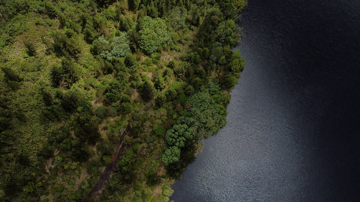 La estrategia de recuperación involucra también al ejército para patrullar y disuadir todo tipo de actividad ilegal.
