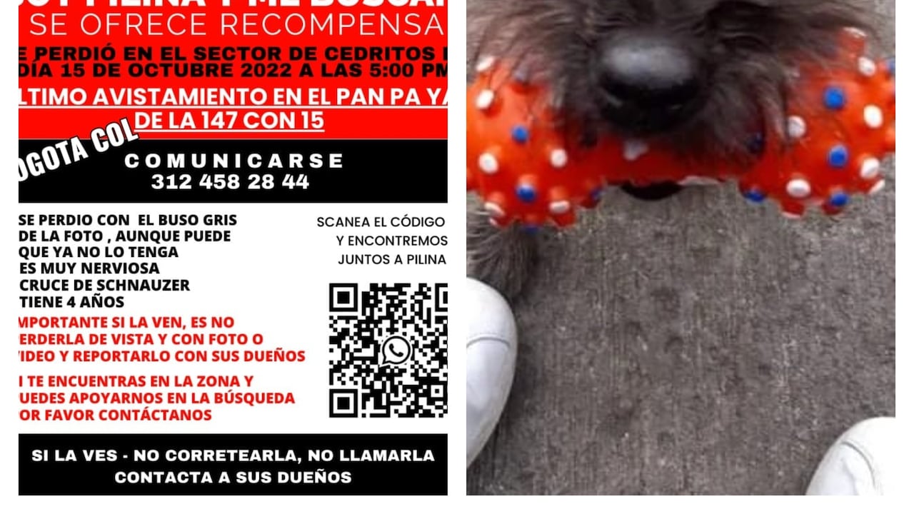 Se busca a Pilina.