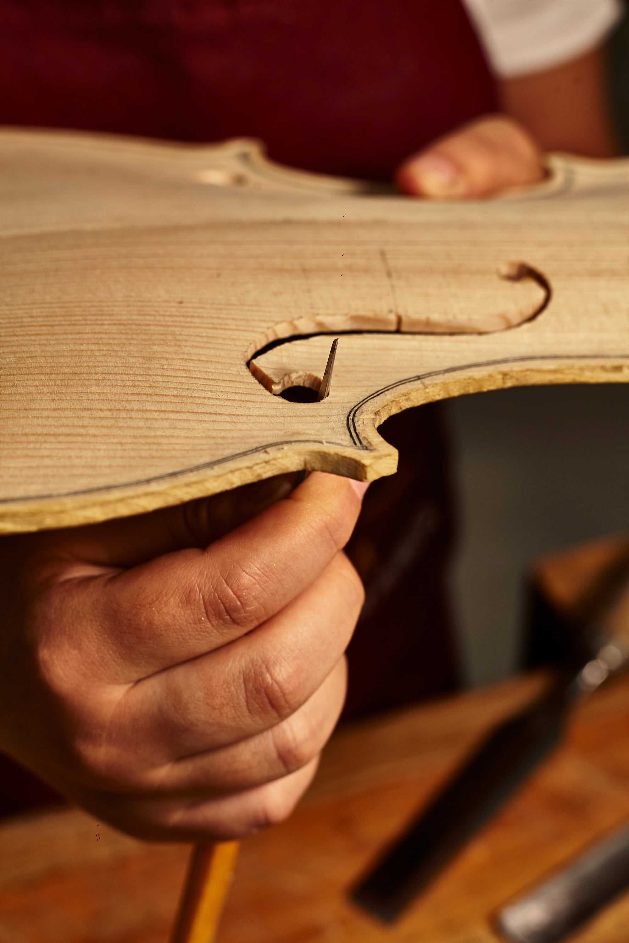 Ibagué Festival 2025