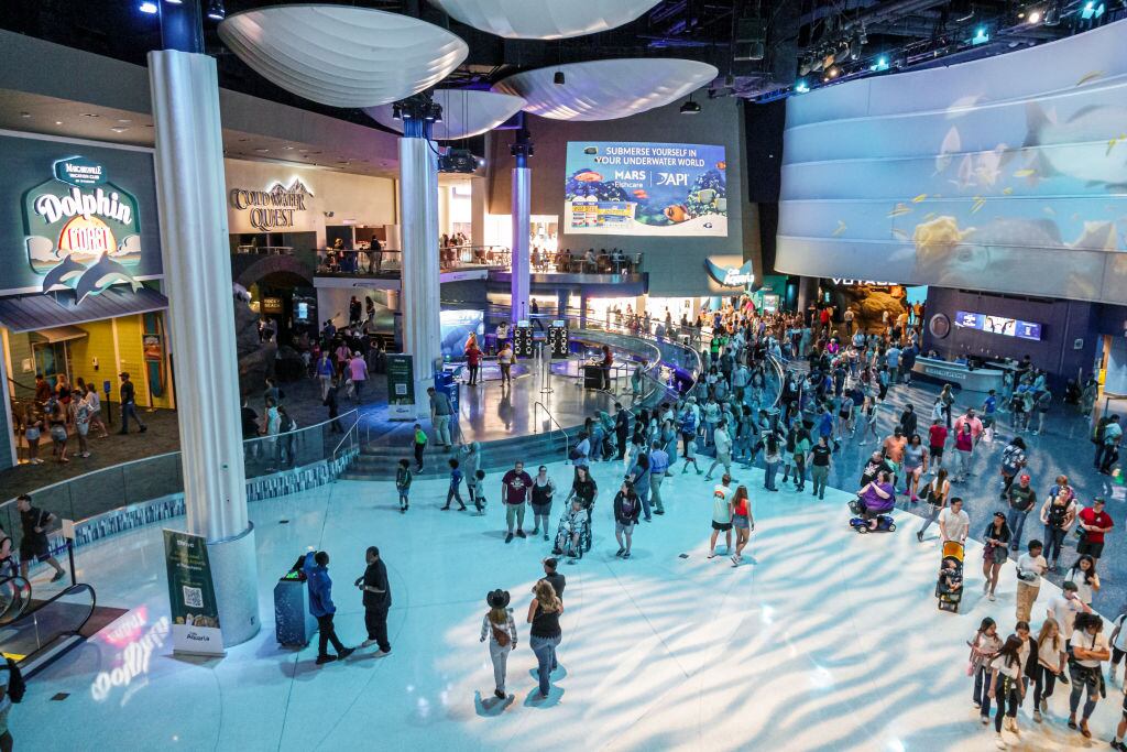 Atlanta, Georgia, Georgia Aquarium, large crowd of people in main exhibition hall. (Photo by: Jeffrey Greenberg/Universal Images Group via Getty Images)