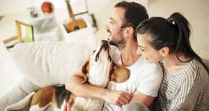 La constitución de familias más pequeñas y, en muchos casos, sin hijos, facilita la presencia de mascotas.