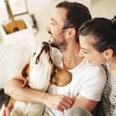 La constitución de familias más pequeñas y, en muchos casos, sin hijos, facilita la presencia de mascotas.