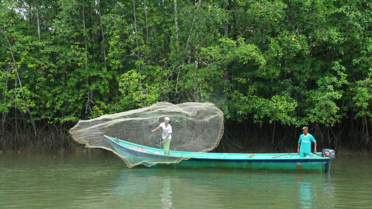 En el área del Golfo de Tribugá sus habitantes viven principalmente de la pesa. Foto: MarViva