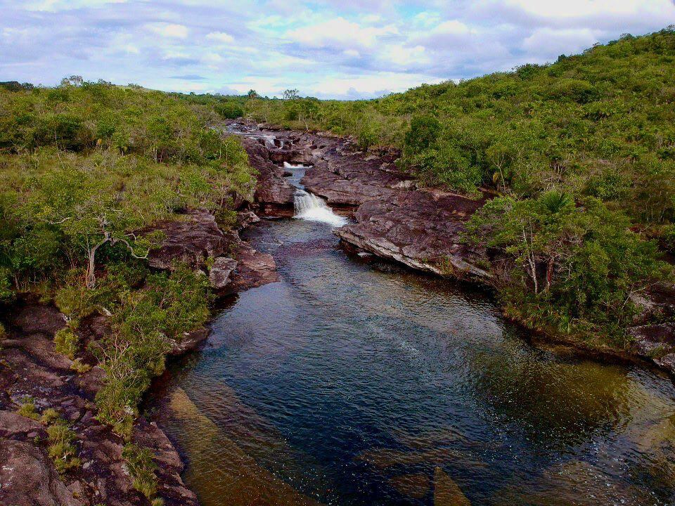 Los infractores también serán castigados con restitución de especies y trabajo comunitario.