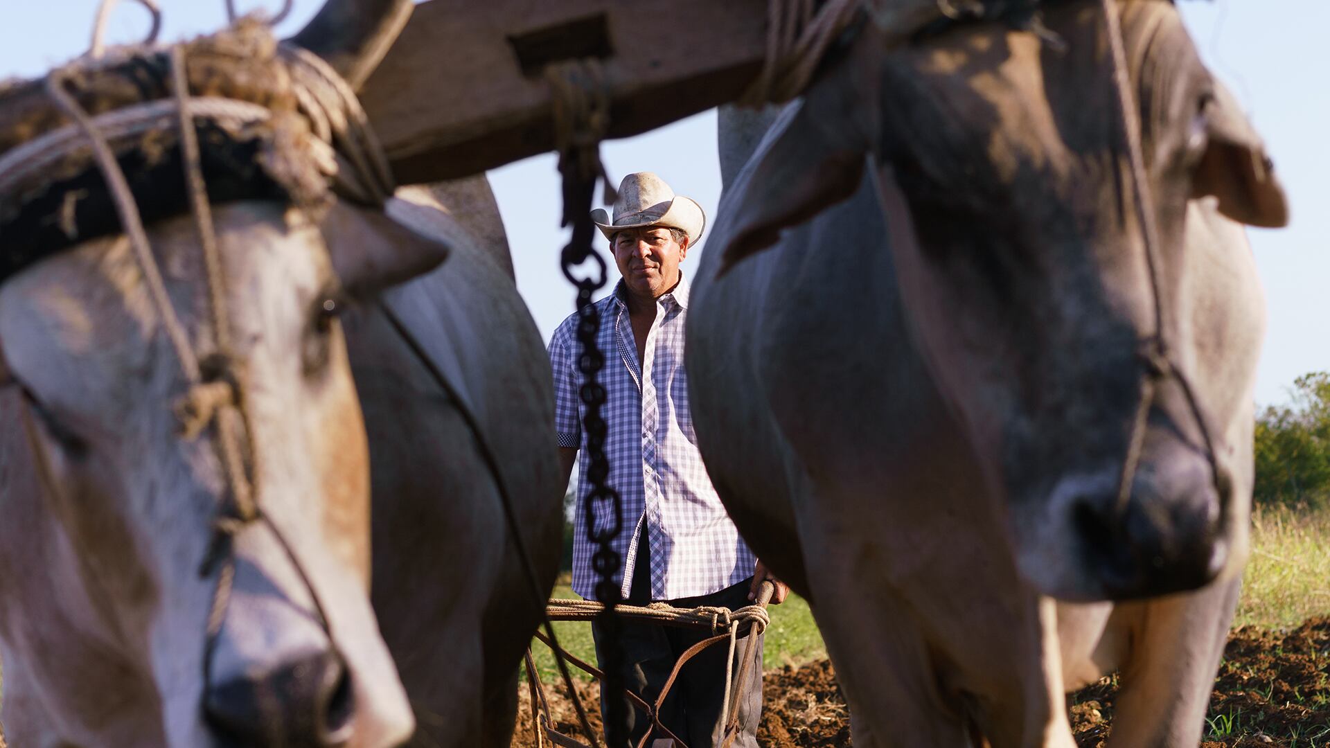 Especial Empresas que Construyen País, Davivienda